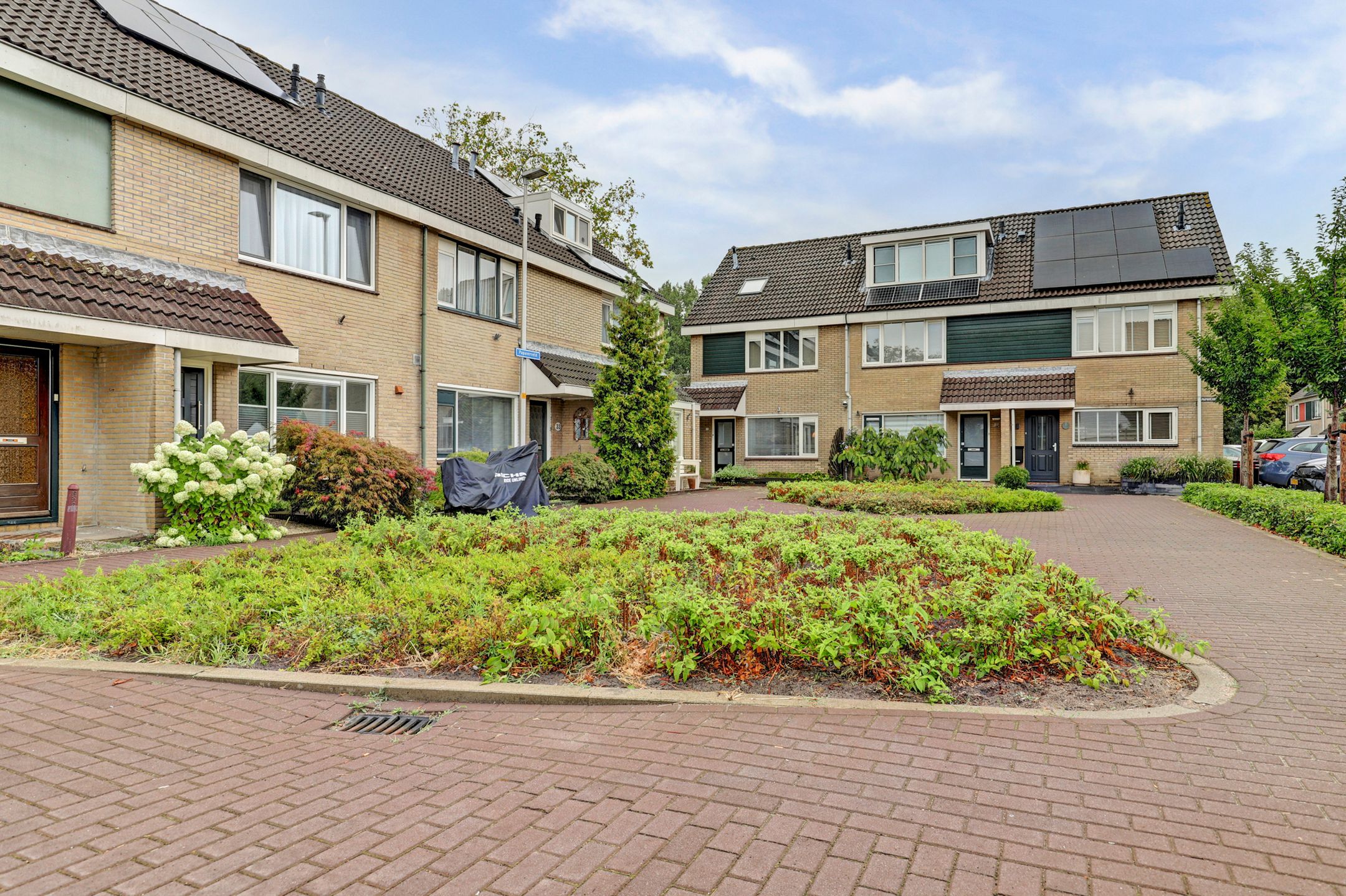 Photo 33 of Papaverveld 41