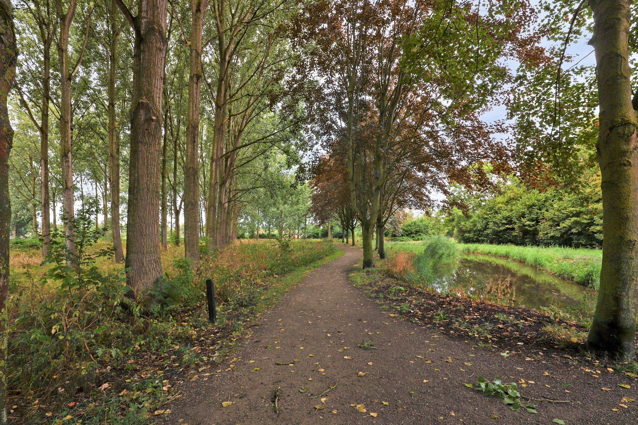 Photo 36 of Papaverveld 41