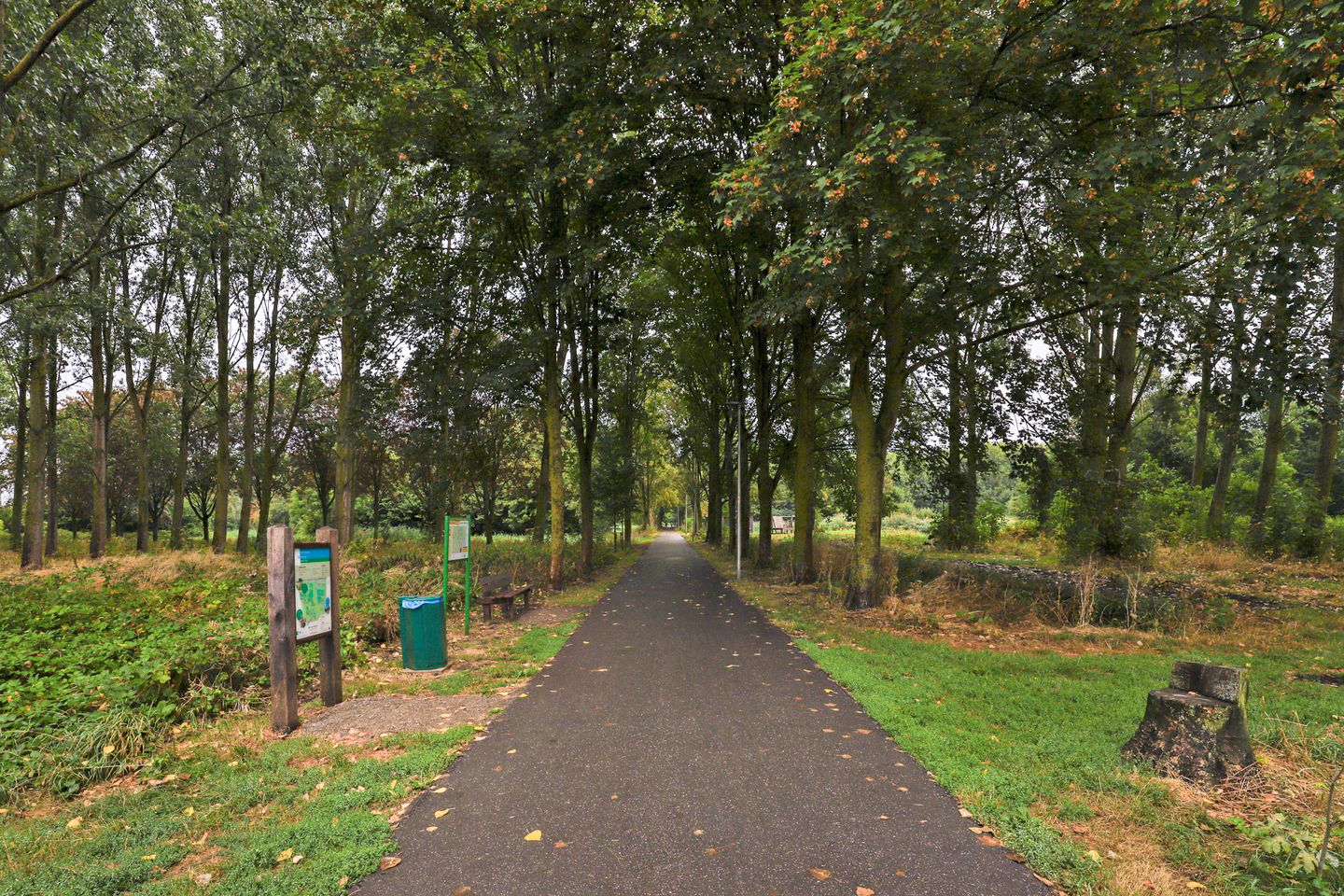 Photo 35 of Papaverveld 41