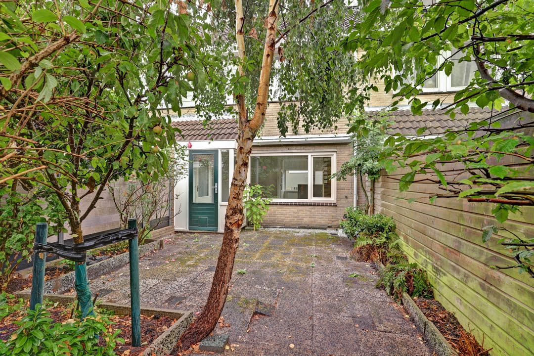 Photo 31 of Papaverveld 41
