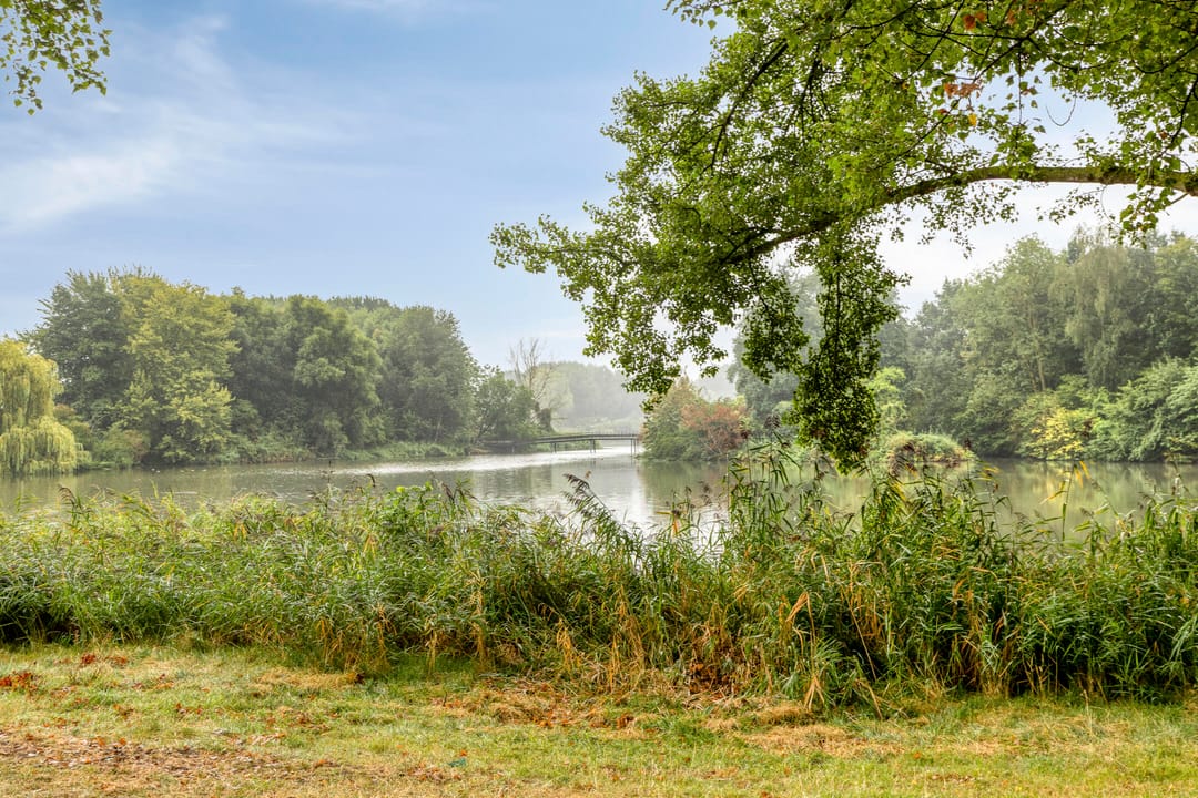 Photo 47 of Neerhof 21