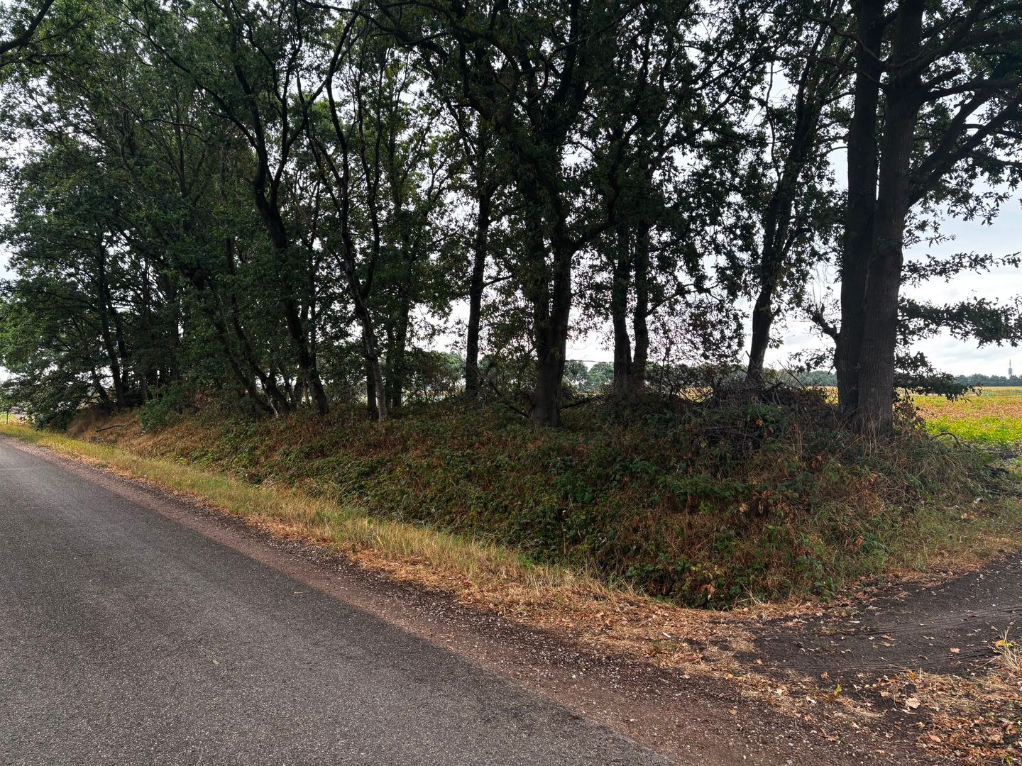 Haiinksestraat - Roosendaal - Afbeelding 4