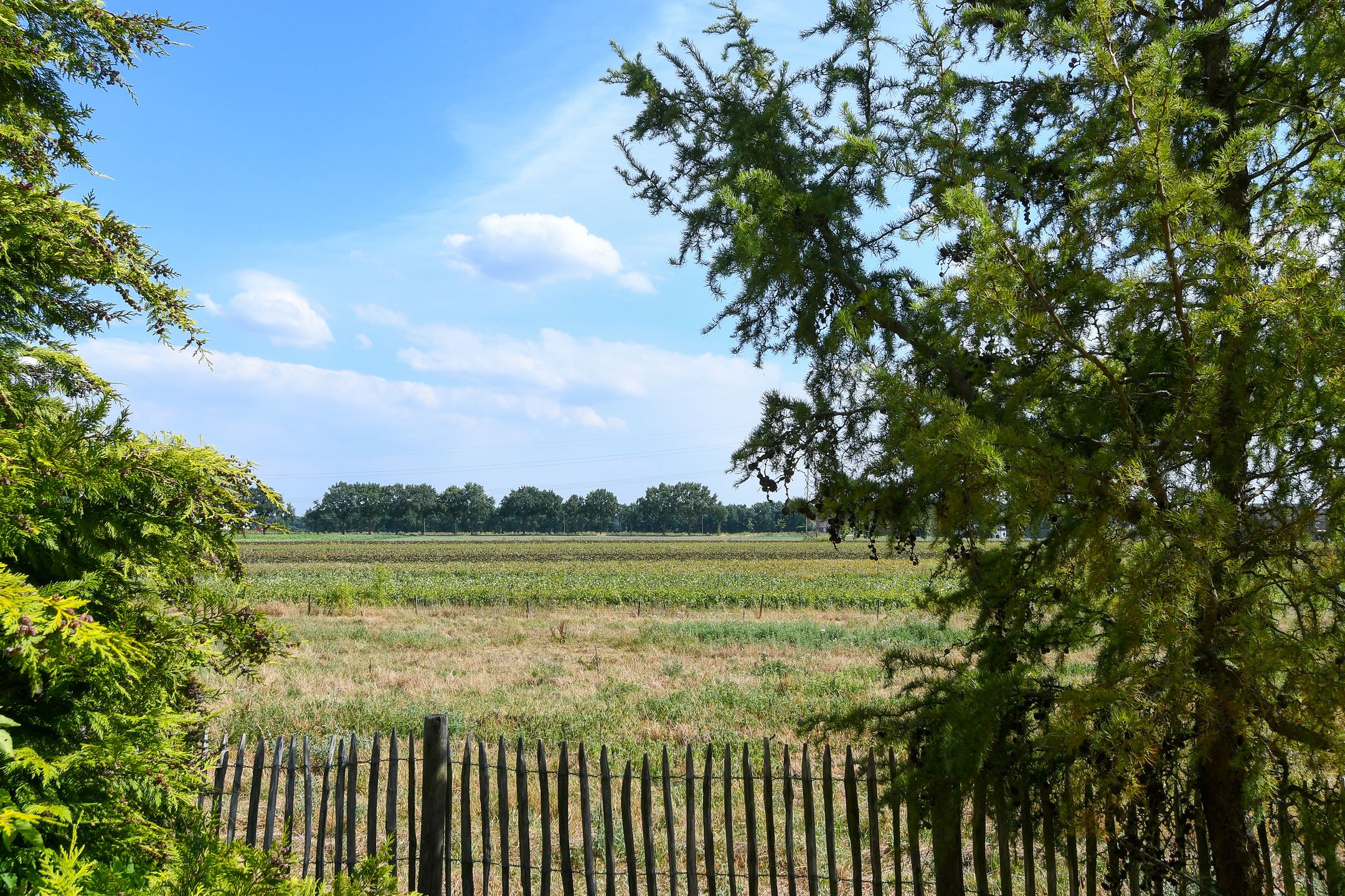 Foto 48 van Rijksweg 20