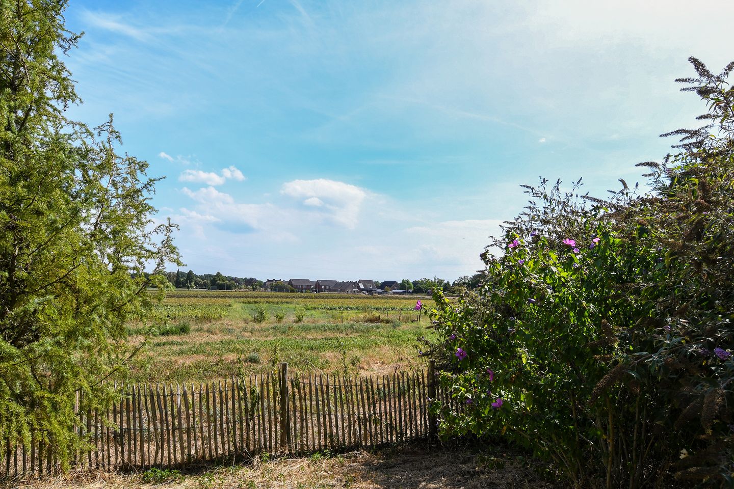 Foto 49 van Rijksweg 20
