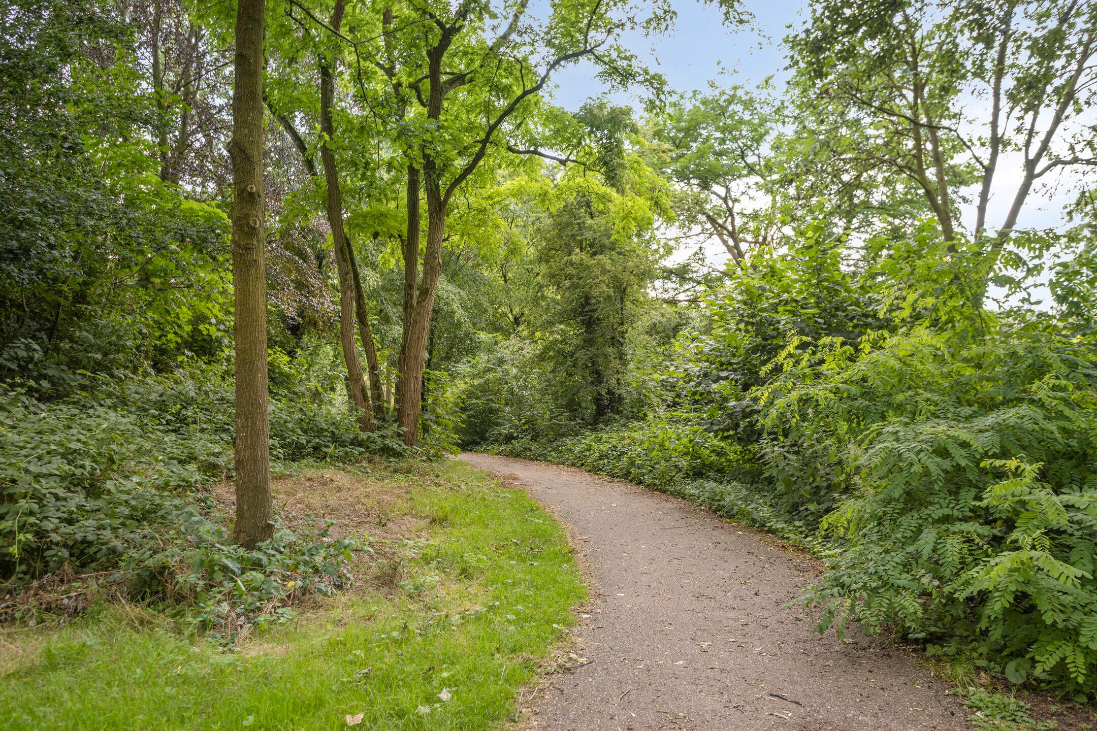 Photo 36 of Derde Morgen 13