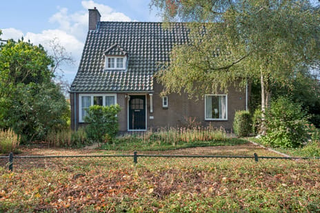 Liniestraat thumbnail