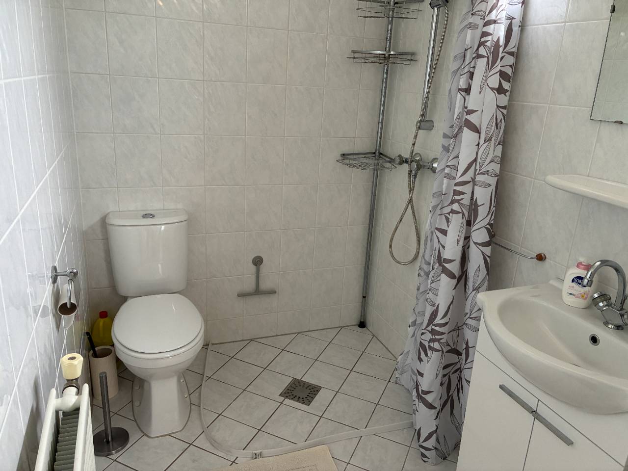 Photo 21 of Rhenendael 155