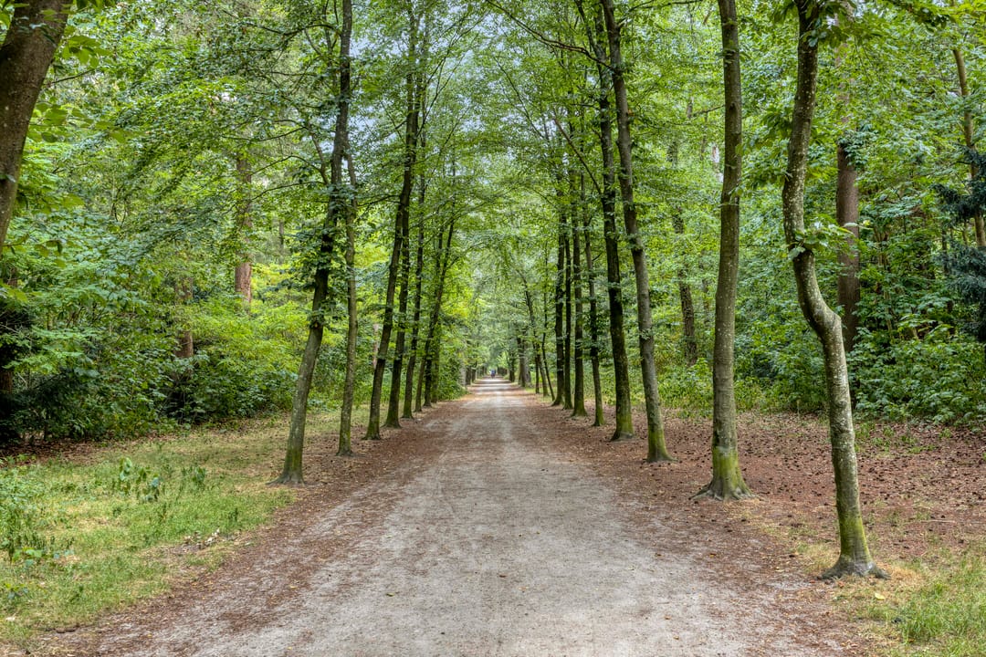 Photo 62 of Prins Hendriklaan 28
