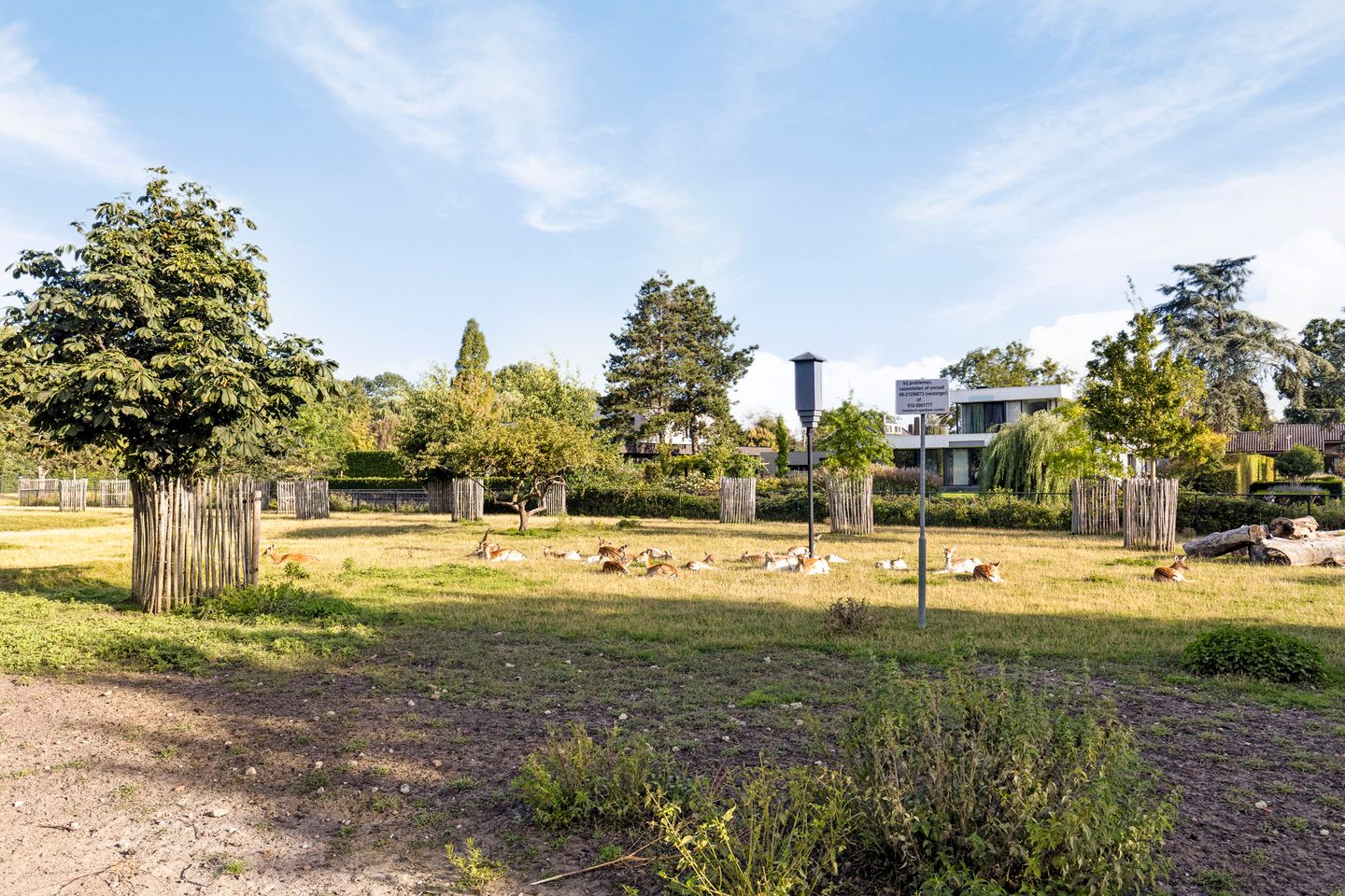 Foto 49 van Kievitplantsoen 9