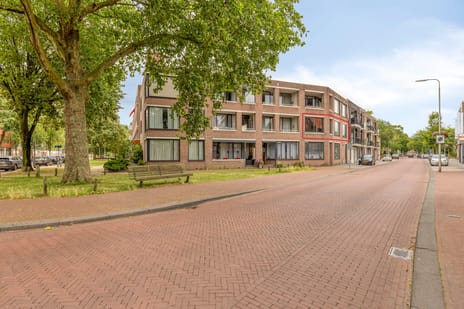 Lievekamplaan thumbnail