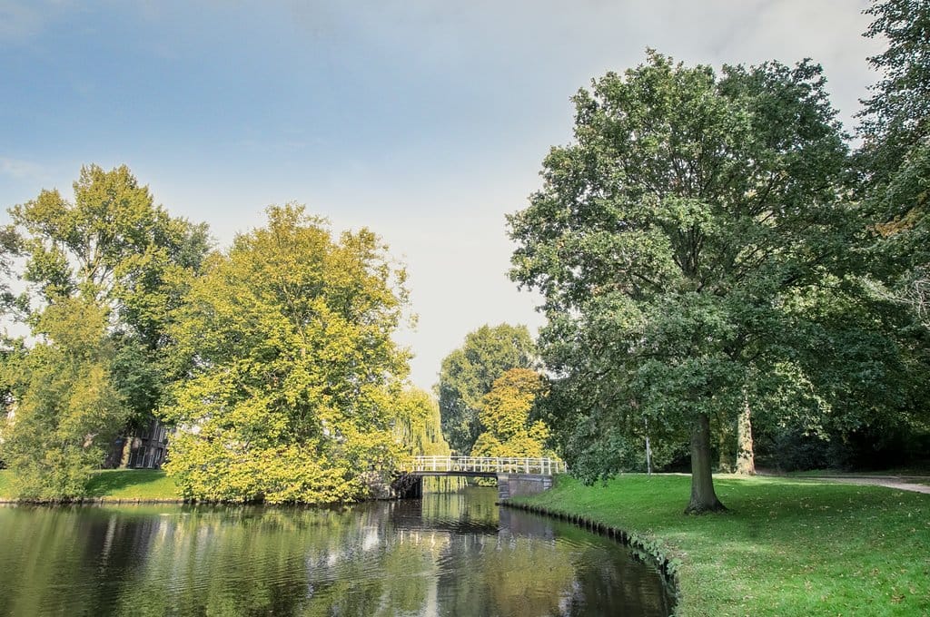 Foto 47 van Gedempte Schalk Burgergracht 42