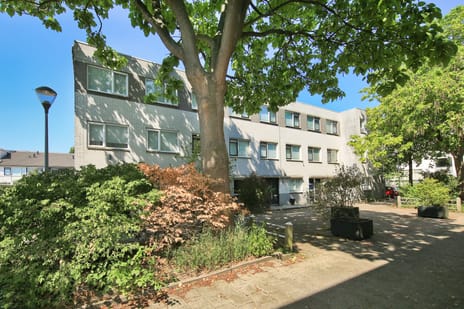 Dumontstraat thumbnail
