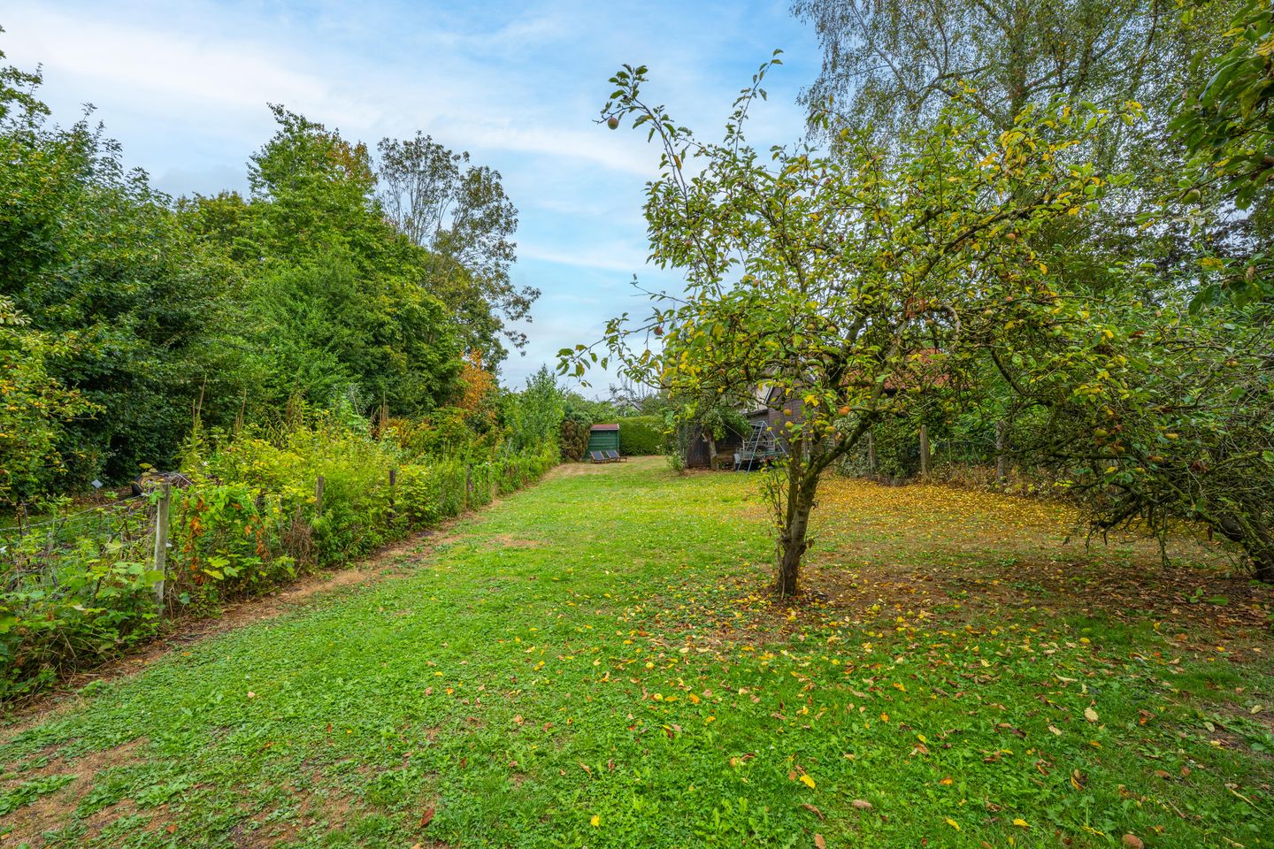 Photo 40 of Kerklaan 9
