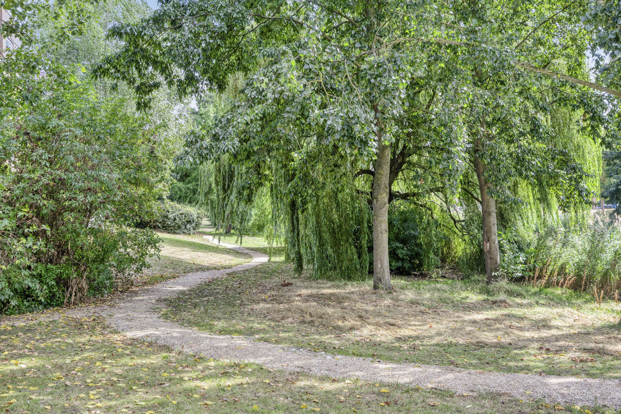 Photo 33 of Geerten Gossaertpad 2