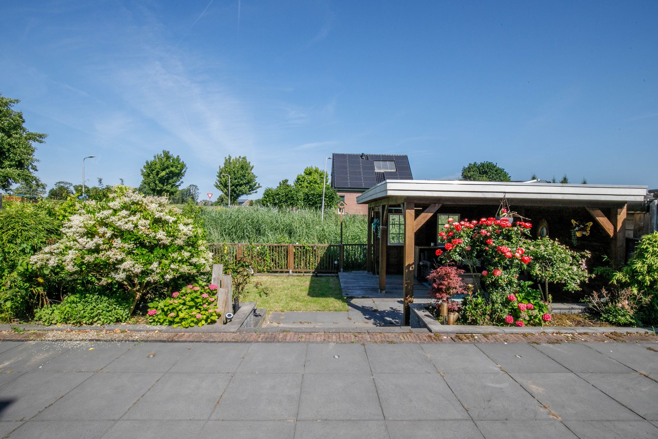 Foto 42 van Koningsoever 3