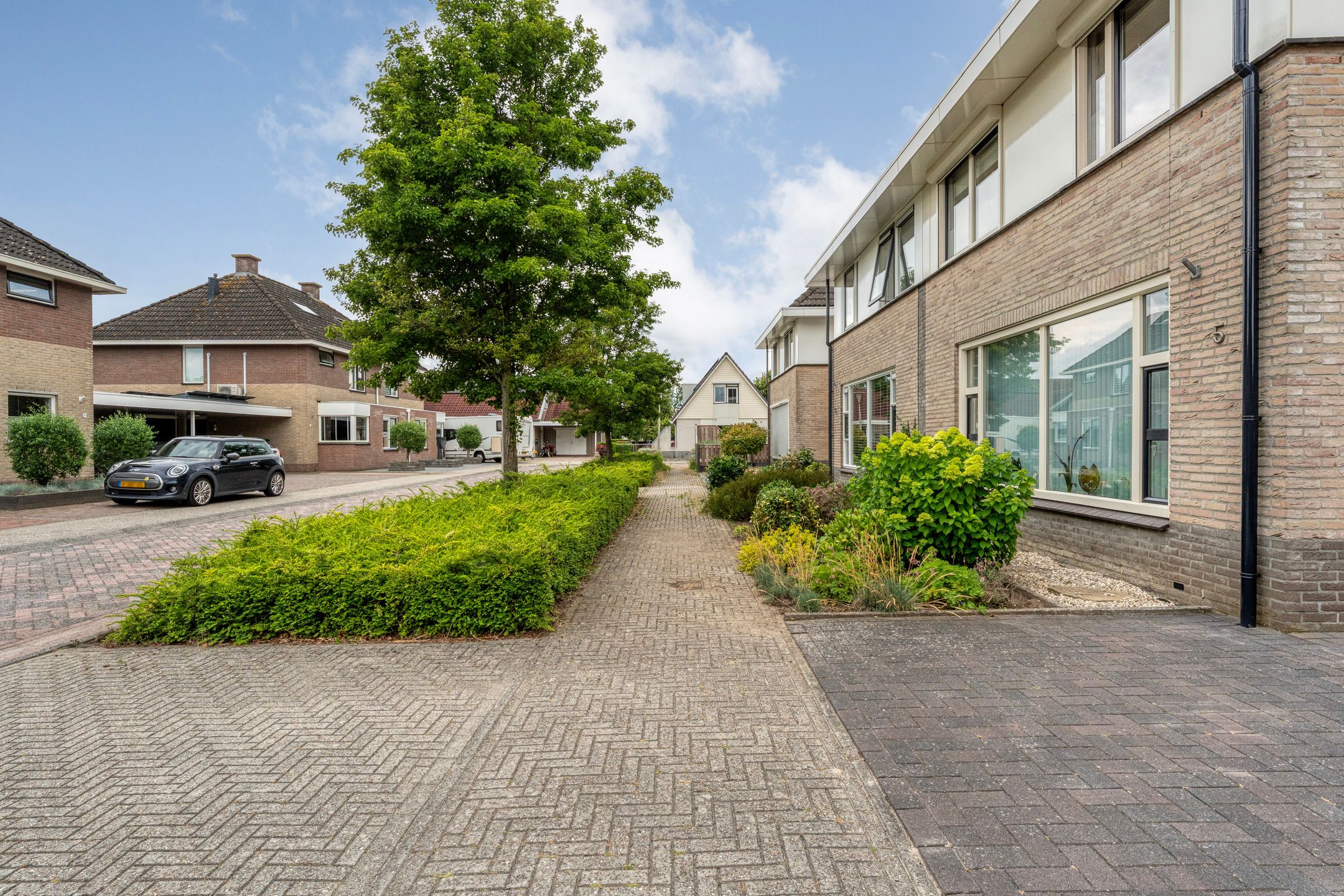 Foto 6 van Vuurdoorn 5