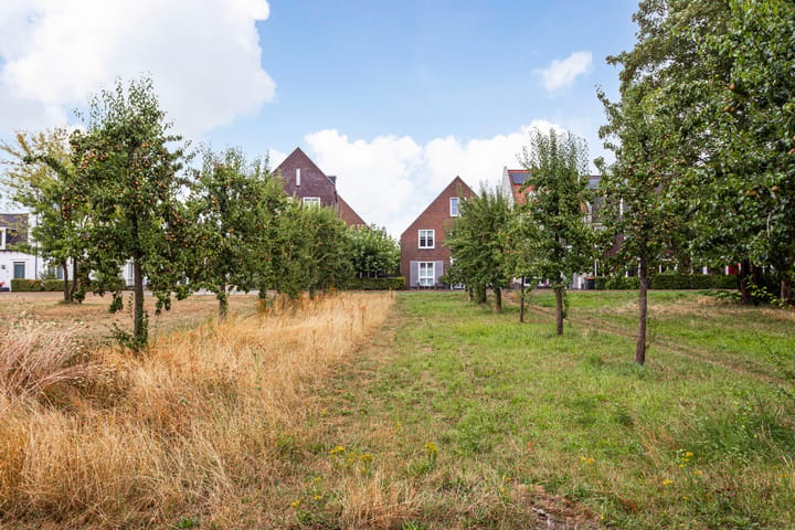 Foto 4 van Veilingpark 5
