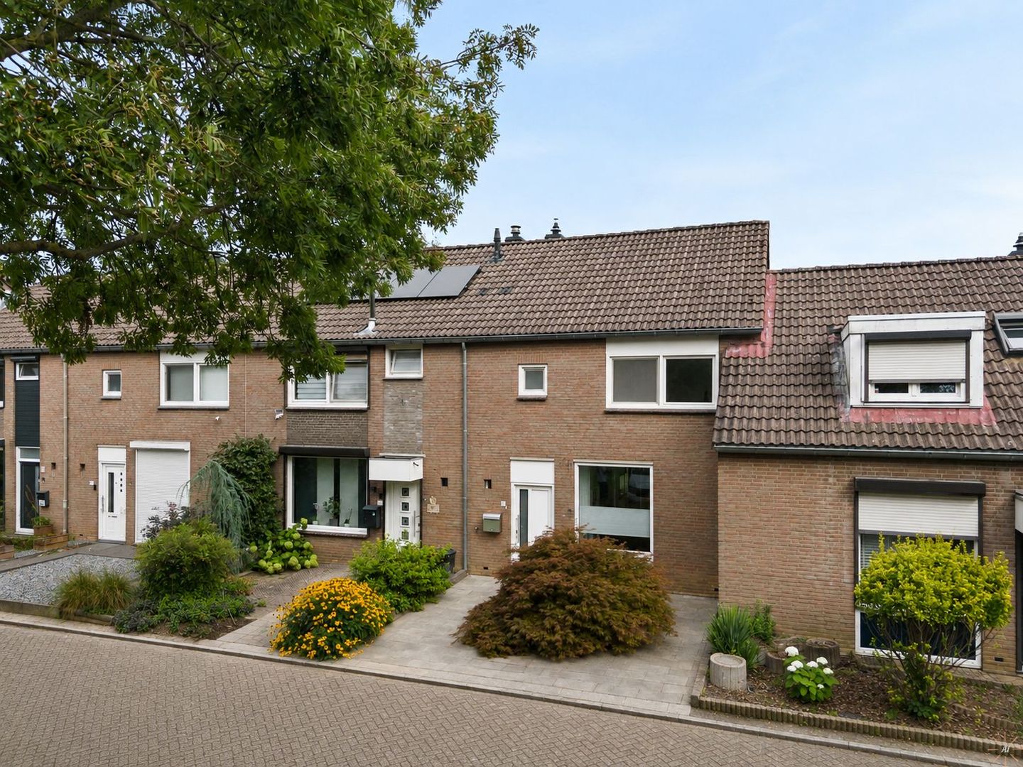 Foto 1 van Varenerf 6