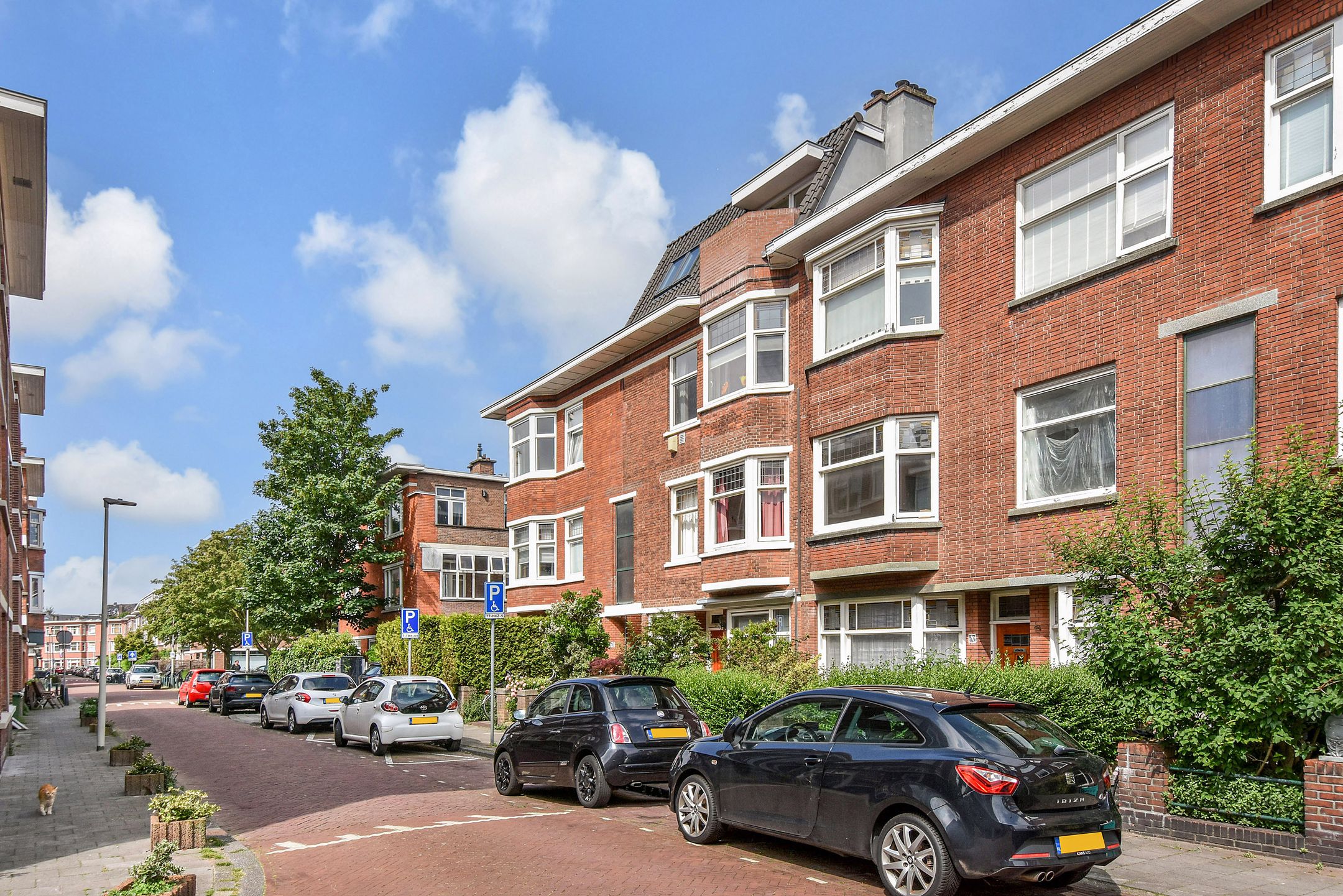 Foto 42 van Pippelingstraat 43