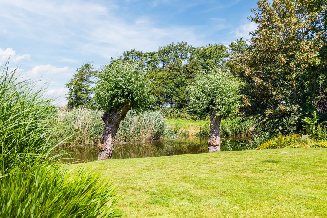 Photo 83 of Rekerkoogweg 3