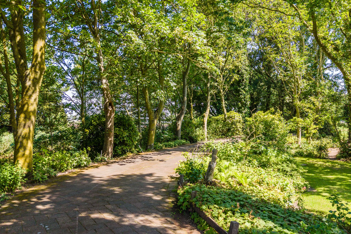 Photo 95 of Rekerkoogweg 3