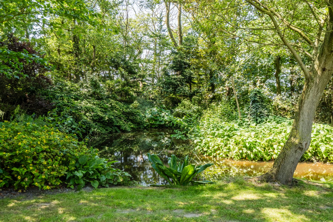 Photo 82 of Rekerkoogweg 3