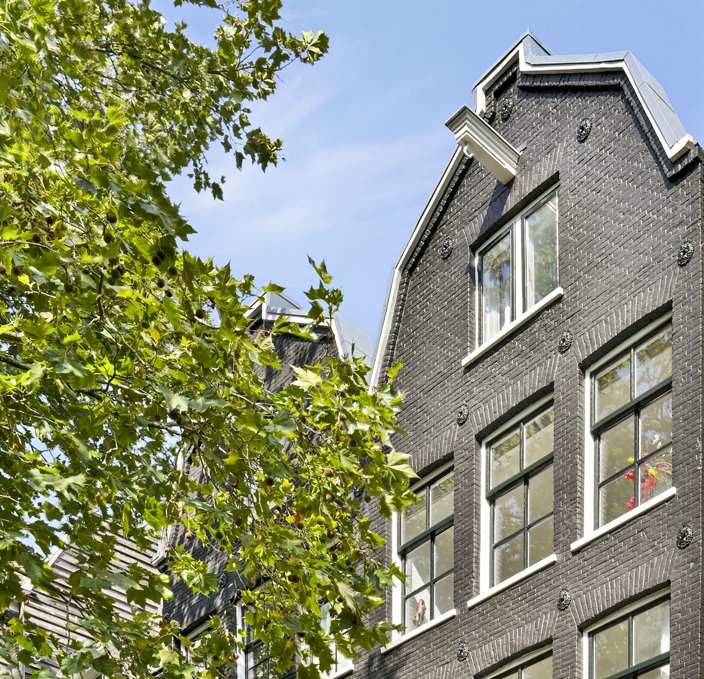 Foto 5 van Lijnbaansgracht 348-3