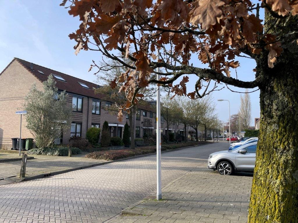 Foto 4 van Aletta Jacobshoeve 12
