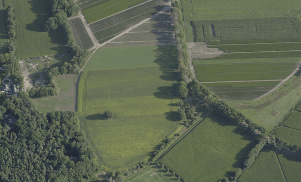 Biemeren - Wintelre - Afbeelding 5