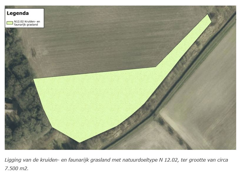 Biemeren - Wintelre - Afbeelding 6