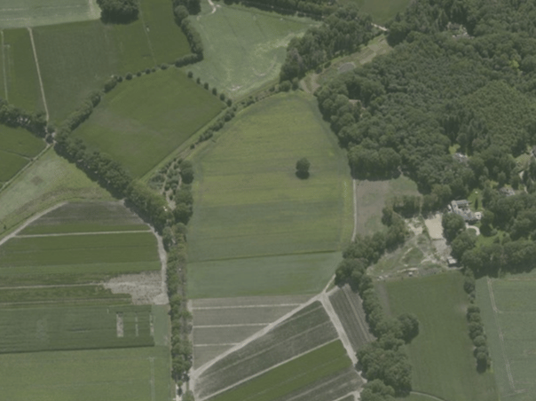 Biemeren - Wintelre - Afbeelding 4