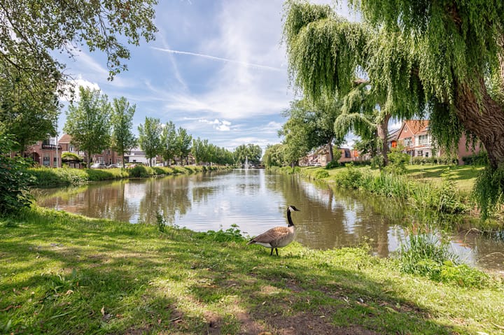 Foto 4 van Zandstraat 96