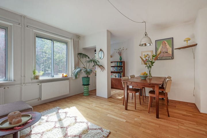 Foto 4 van Albert Luthulistraat 14-B