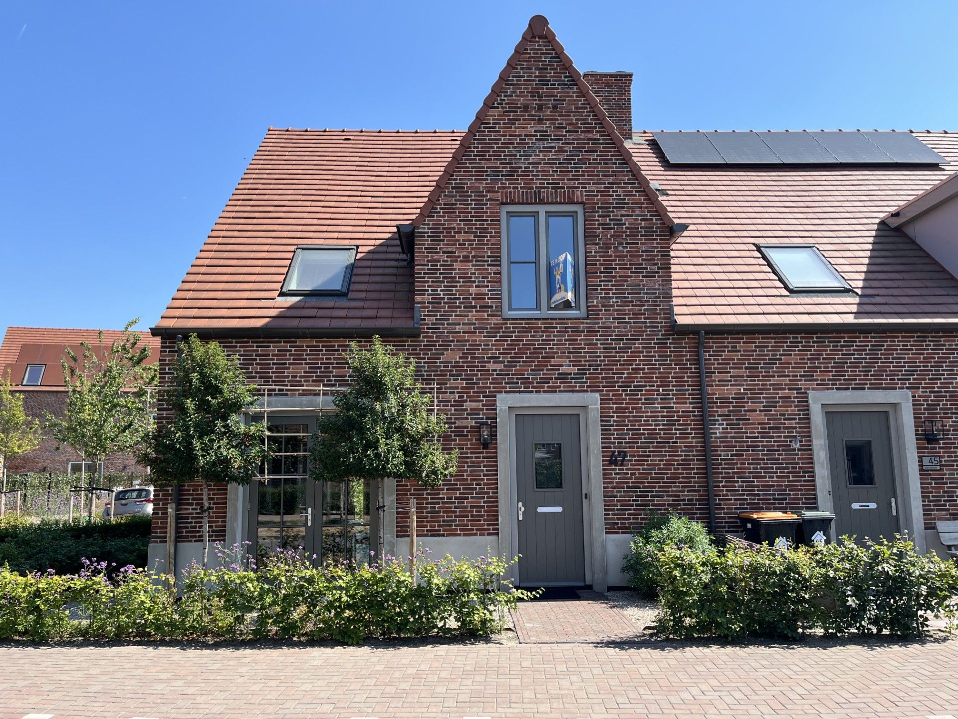 Notenhout 47 