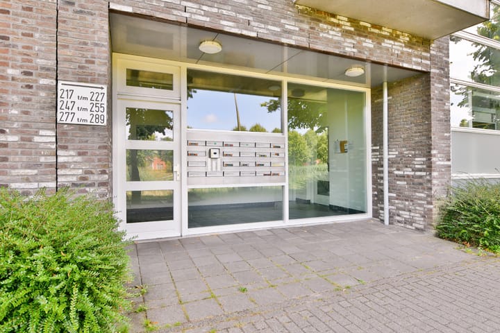 Foto 4 van Vivaldisingel 255