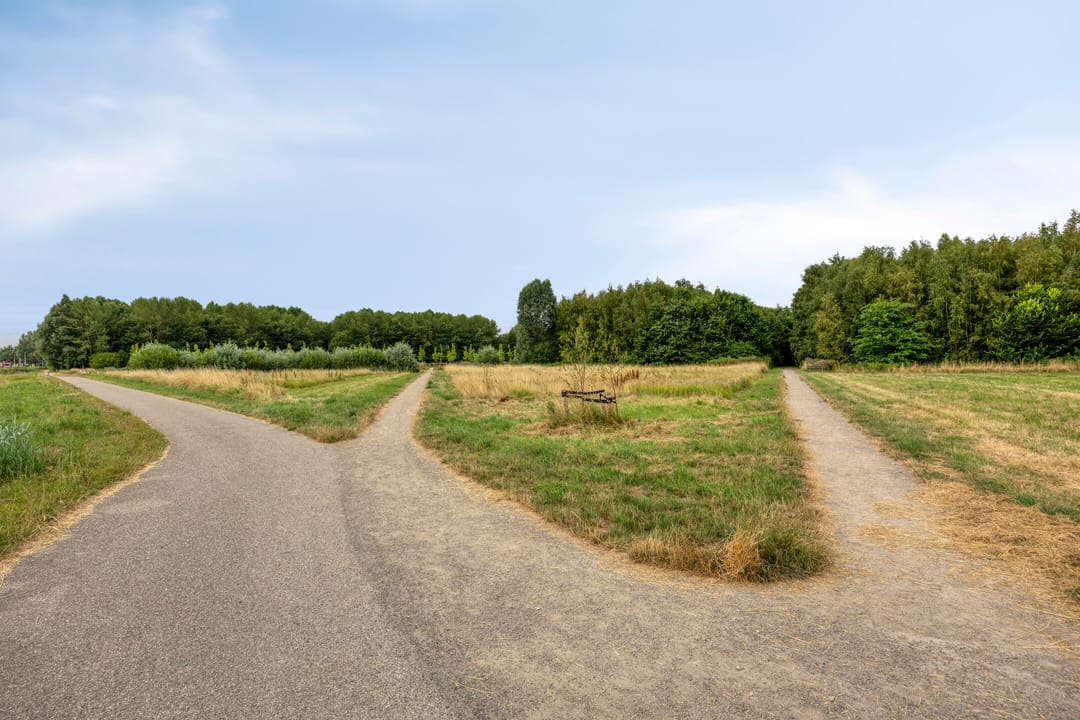 Foto 46 van Buinerveld 54