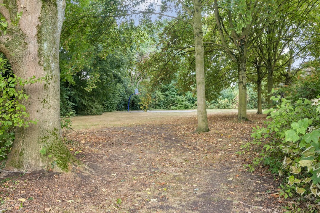 Photo 71 of Obrechtstraat 2