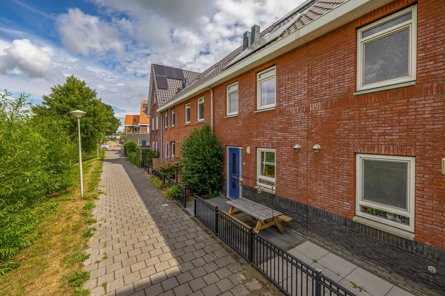Foto 4 van Pinksterbloem 7