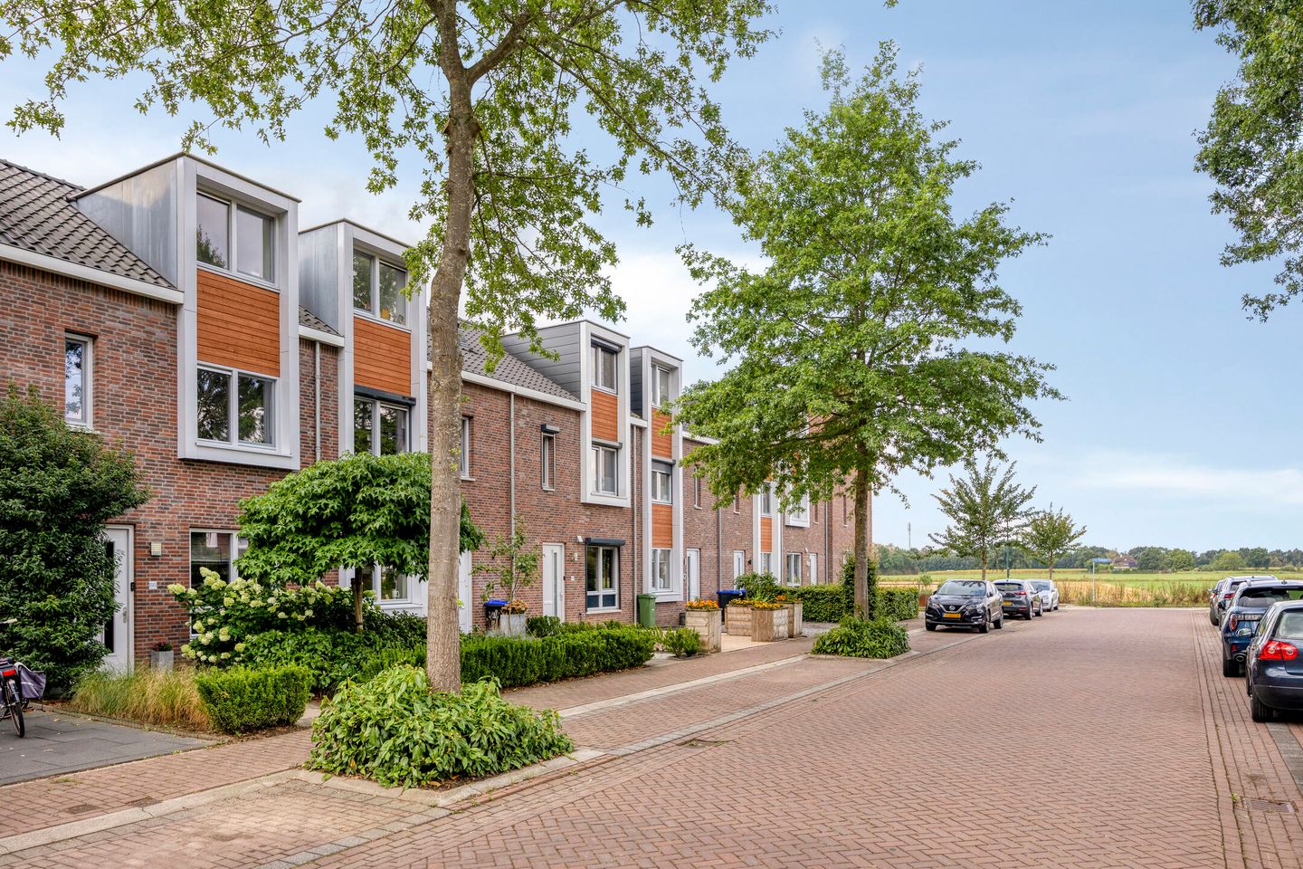 Photo 35 of Boterbloem 86