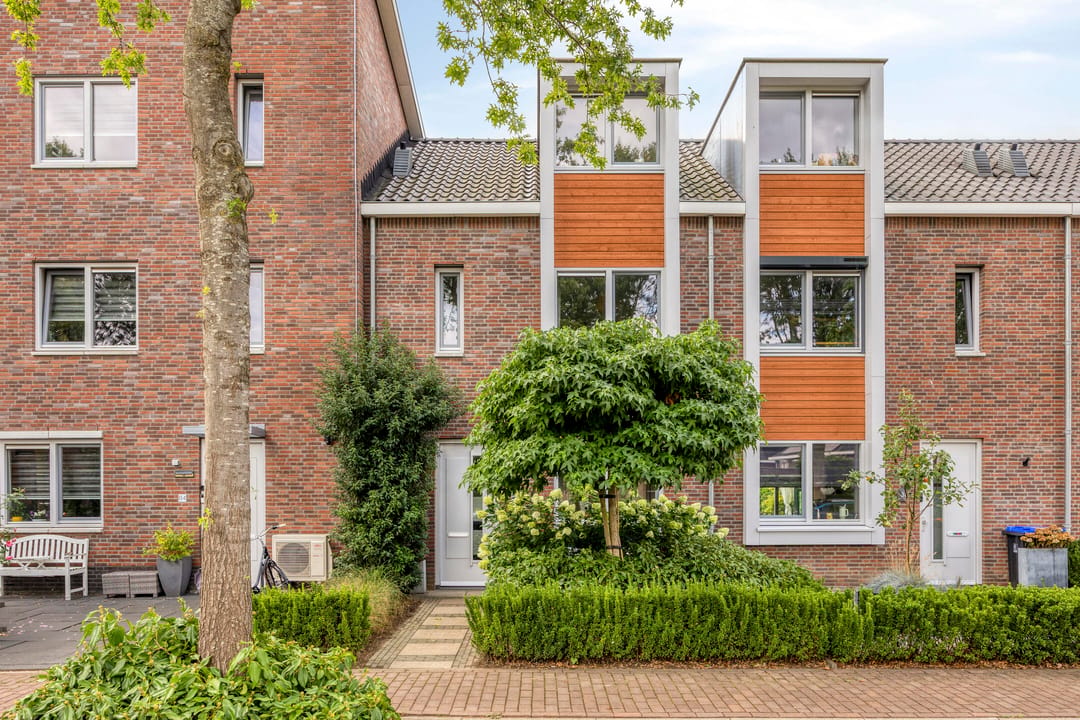 Photo 1 of Boterbloem 86