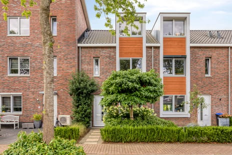Boterbloem thumbnail