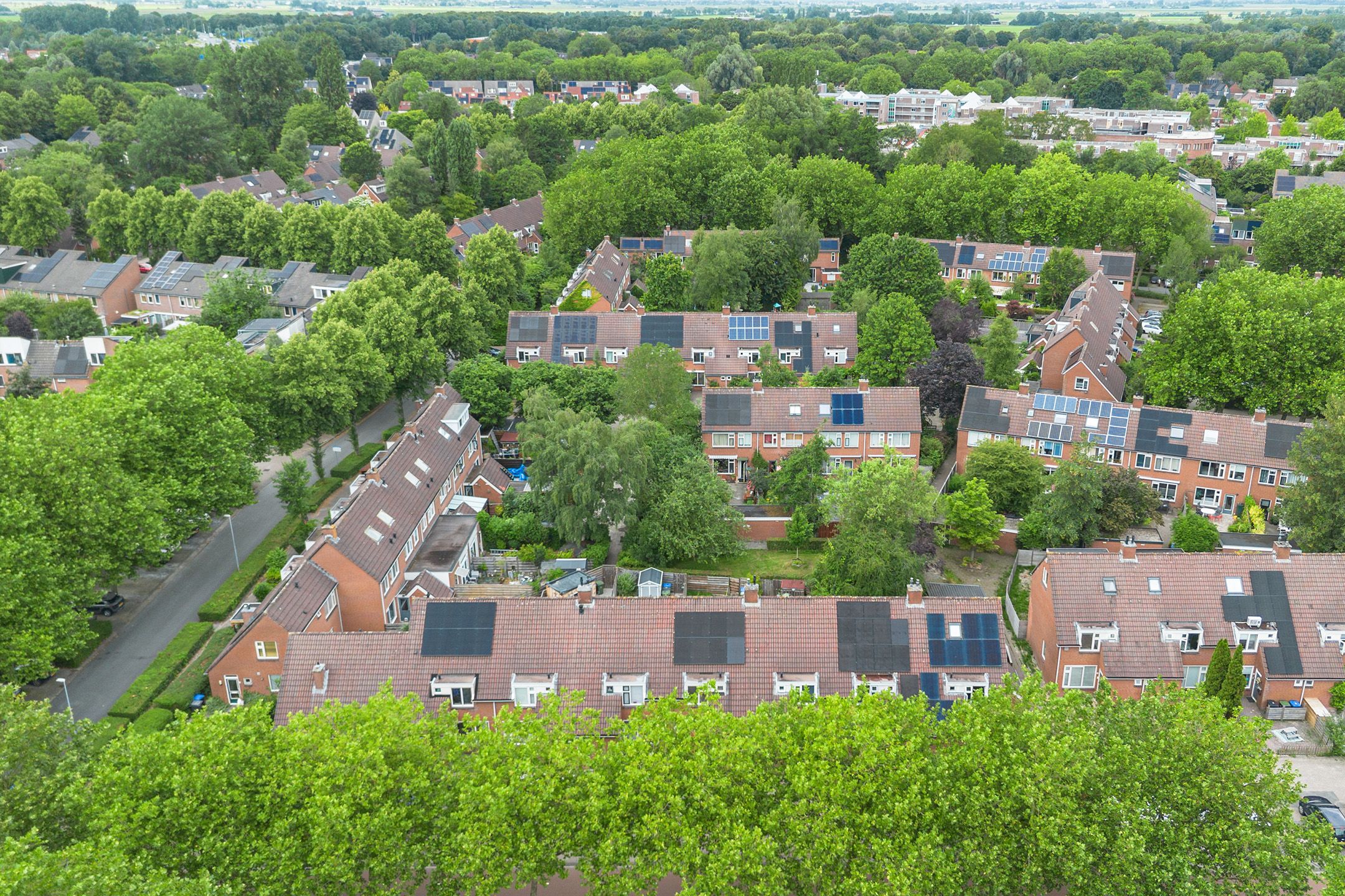 Photo 30 of Framaheerd 17