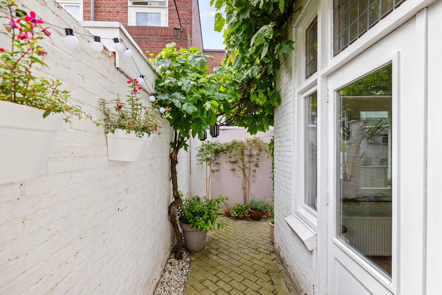 Photo 50 of Wassenberghstraat 18