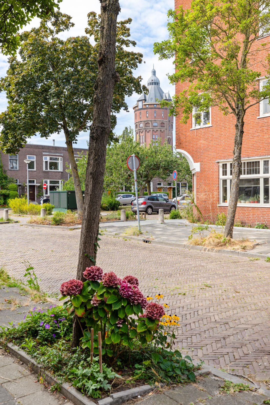 Photo 58 of Wassenberghstraat 18