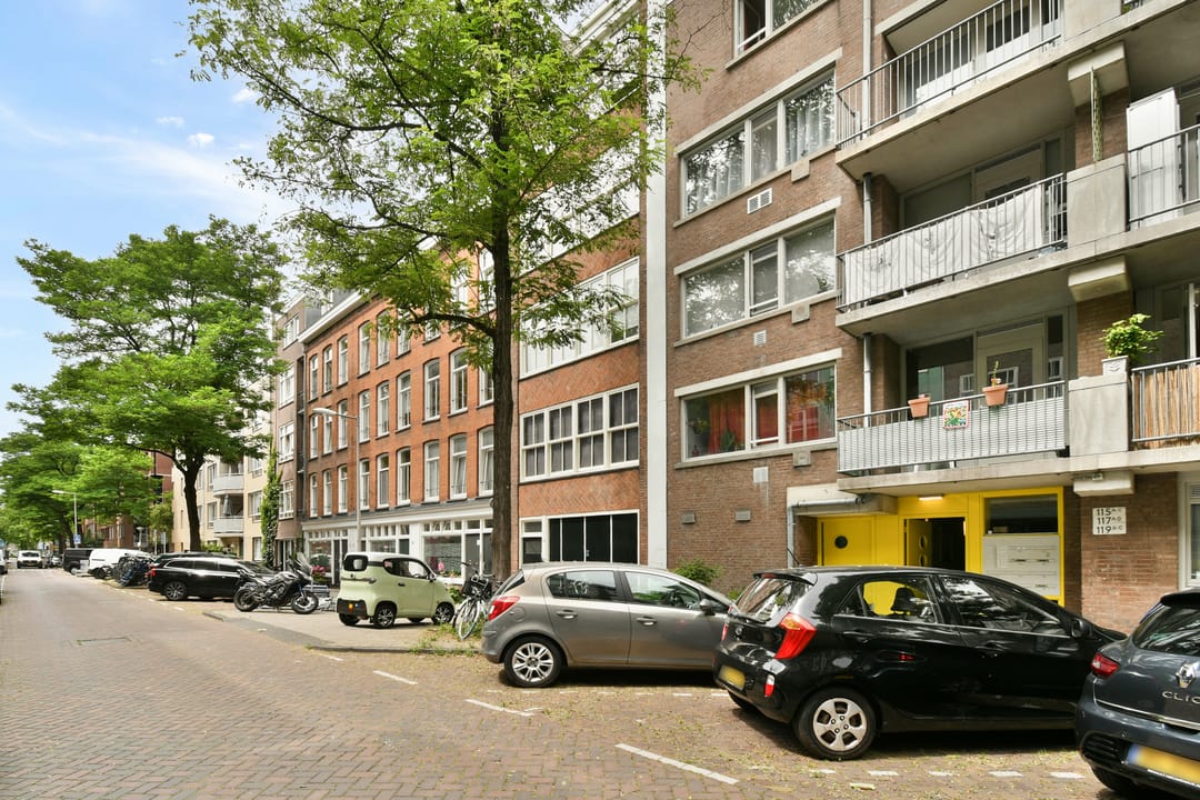 Foto 17 van Blasiusstraat 113-3
