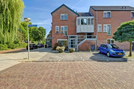 Pippelingstraat thumbnail