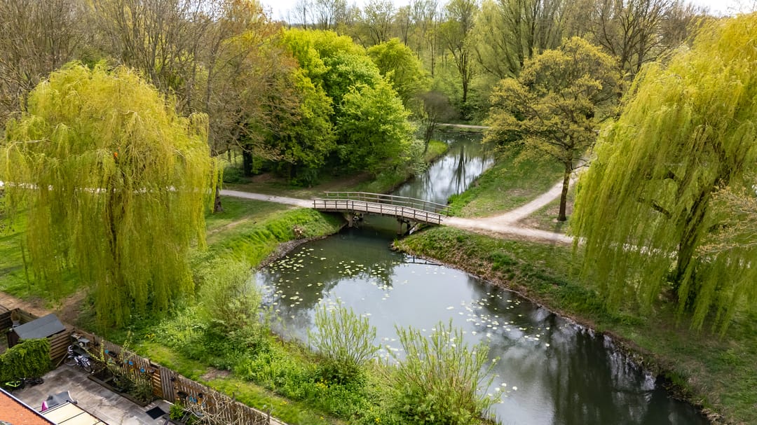 Foto 46 van Roerdompweide 4