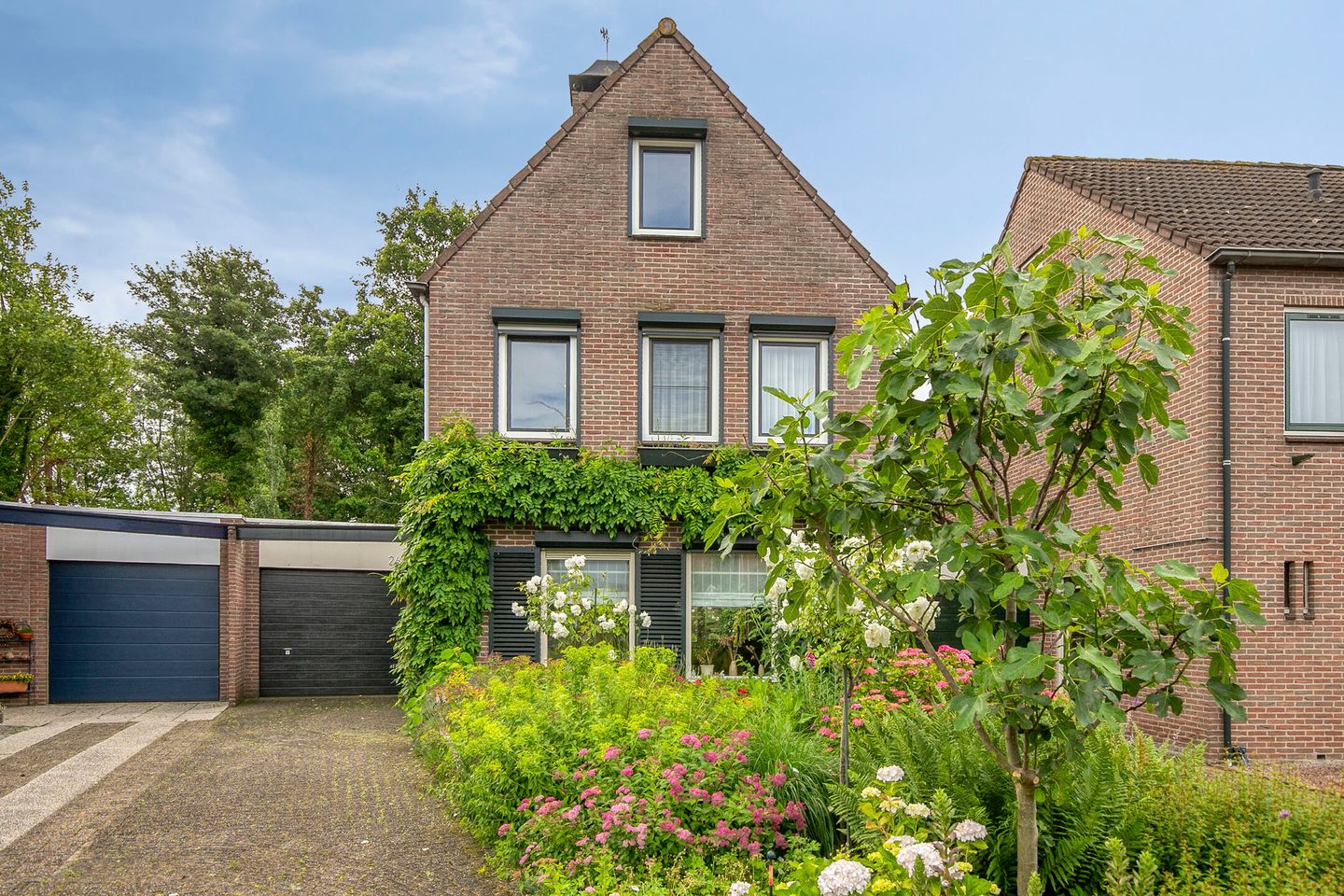 Foto 1 van Valeriaanstraat 26