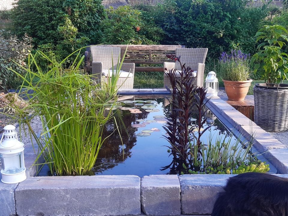 Foto 72 van Binnenpad 44