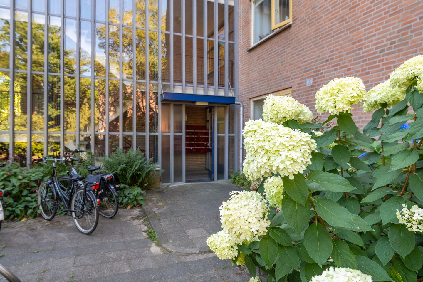 Foto 44 van Eykmanstraat 4-II